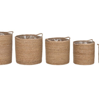Cesta
